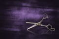 Vintage, old, hairdressing scissors, on shabby purple background. Barbershop background. Reflection. Copy space Royalty Free Stock Photo
