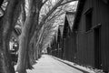 Vintage old Japanese black warehouse in winter snow and tree lin