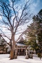 Vintage old Japanese shrine in winter snow, Sakata Sunkyo Soko,