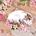 Vintage old paper, adorable cat, hand written text, letters, postal stamps and watercolor flowers. Aged floral Royalty Free Stock Photo