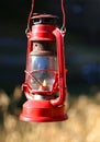 Vintage old red lantern Royalty Free Stock Photo