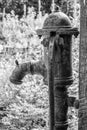 Vintage old rusted water pump in abandoned garden setting