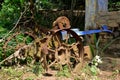 Vintage old rusty iron wheels of a tractor. selective focus