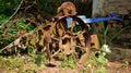 Vintage old rusty iron wheels of a tractor. selective focus