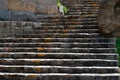 Vintage Old Stone stairs made of stone blocks going up at Golconda Fort Royalty Free Stock Photo