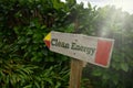 Vintage old wooden signboard with text clean energy near the green plants