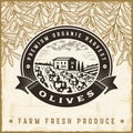 Vintage olive harvest label