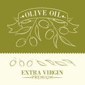 Vintage olive oil label. Royalty Free Stock Photo