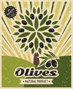 Vintage olive vector poster template design