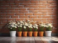 vintage orange brick wall decorated with white daisy in small pots for background. Royalty Free Stock Photo