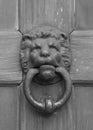 Vintage oriental knocker door of metal lion Royalty Free Stock Photo