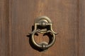 Vintage image of ancient door knocker on a wooden door Royalty Free Stock Photo