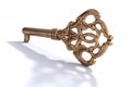 Vintage ornate brass key