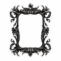 Vintage Rococo-inspired Black And White Frame Design