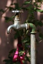 Vintage outdoor tap