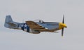 Vintage P-51 Mustang Fighter