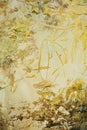 Paint vintage golden colors, brush strokes, organic textile hypnotic background Royalty Free Stock Photo