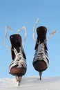 Vintage pair of mens skates Royalty Free Stock Photo
