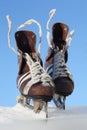 Vintage pair of mens skates Royalty Free Stock Photo