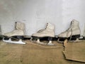 Vintage pair of women ice skates hanging on a wooden wall Royalty Free Stock Photo