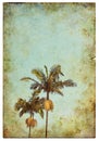 Vintage Palm Postcard Royalty Free Stock Photo