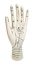 Palm Reading Hand Model Royalty Free Stock Photo