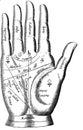 Vintage palmistry hand illustration