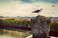 Vintage panorama of Rome, Italy. As seen from Castel Sant'Angelo.