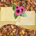 Vintage paper with flowers Royalty Free Stock Photo