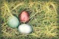 Vintage paper textures, Colorful easter eggs hidden in dense grasses. Royalty Free Stock Photo