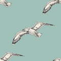 Vintage pattern with seagulls. Sea bird Royalty Free Stock Photo