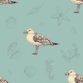 Vintage pattern with seagulls. Sea life Royalty Free Stock Photo