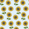 Vintage pattern with sunflowers on striped blue