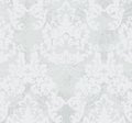 Vintage pattern Vector. Beautiful ornament decor. Royal luxury texture backgrounds. Light gray colors Royalty Free Stock Photo