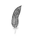 Vintage pen feather writer symbol, literature icon, diary sign, black illustration, Royalty Free Stock Photo