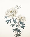 Vintage peonies botanical illustrations with delicate details on solid light background