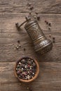 Vintage pepper mill Royalty Free Stock Photo
