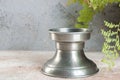 Vintage pewter candlestick and green plant