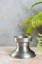 Vintage pewter candlestick and green plant