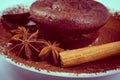 Vintage photo, Baked muffins, star anise, cinnamon and chocolate