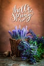 Vintage photo of a beautiful lavander flowers with text Hello Spring