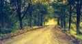 Vintage photo of beautiful trees alley illuminated by morning light Royalty Free Stock Photo