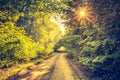 Vintage photo of beautiful trees alley illuminated by morning light Royalty Free Stock Photo