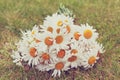 Vintage photo of the bouquet of daisies on fresh green grass