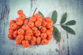 Vintage photo, Bunch of red rowan with leaves on rustic board