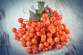 Vintage photo, Bunch of red viburnum with leaves on rustic wooden background