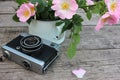 Vintage photo camera and flowers. Pink rose hips in a white enamel cup on a rustic wooden table. Summer still life