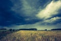 Vintage photo of dark stormy clouds over corn field