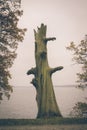 Vintage photo of dead tree on the edge of lake Royalty Free Stock Photo