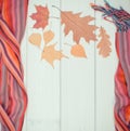 Vintage photo, Frame of womanly shawl and autumnal leaves, clothing for autumn or winter